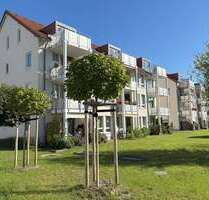 Wohnung zum Mieten in Pirna 362,27 € 42 m²