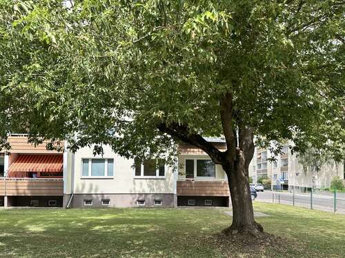 Foto - Wohnung zum Mieten in Magdeburg 470,00 € 60 m²
