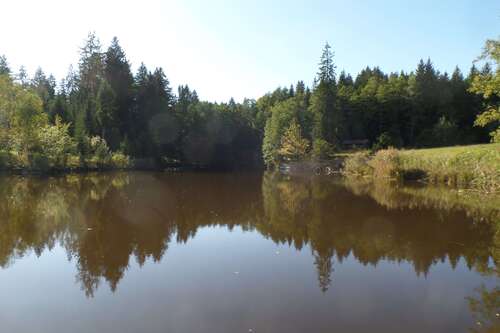 Foto - Grundstück zu verkaufen in Dießen 250.000,00 € 17680 m²