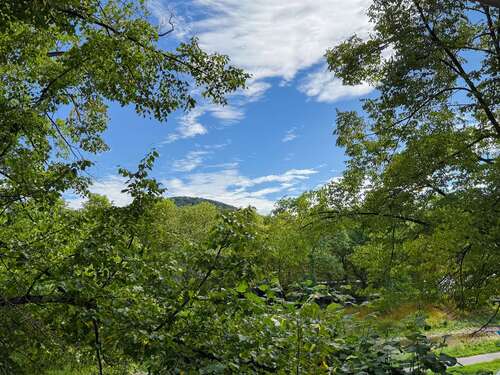 Foto - Wohnung zum Kaufen in Bad Neuenahr-Ahrweiler 298.000,00 € 107 m²