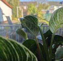 Haus zum Kaufen in Darmstadt 749.000,00 € 181 m²