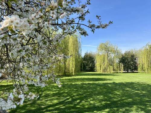 Foto - Haus zum Kaufen in Salzkotten 2.990.000,00 € 338 m²