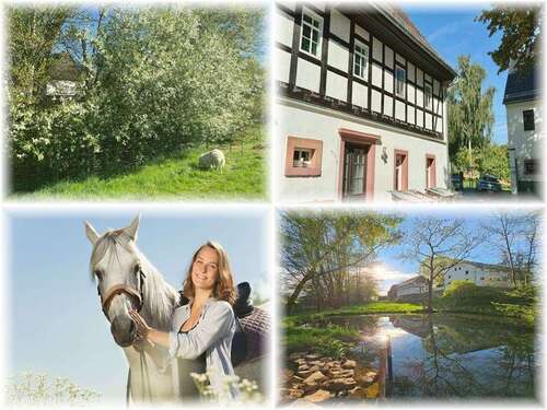 Foto - Haus zum Kaufen in Waldenburg , Sachs 999.000,00 € 240 m²