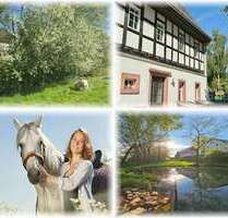 Haus zum Kaufen in Waldenburg , Sachs 999.000,00 € 240 m²