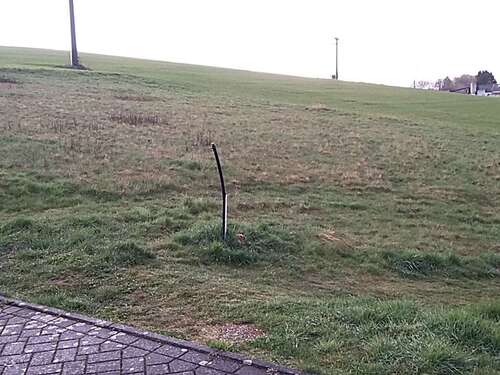 Foto - Grundstück zu verkaufen in Niederelbert 136.800,00 € 760 m²