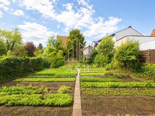 Foto - Haus zum Kaufen in Viernheim 799.000,00 € 173 m²