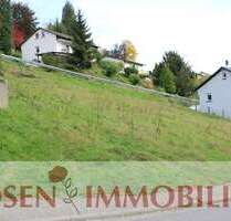Grundstück zu verkaufen in Wald-Michelbach 78.000,00 € 650 m²