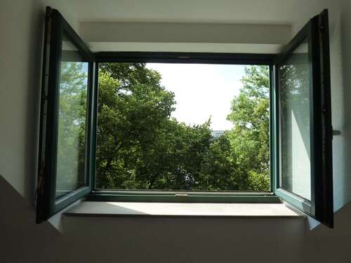 Foto - Wohnung zum Mieten in Chemnitz 235,00 € 42 m²