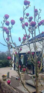 Foto - Haus zum Kaufen in Moers 1.750.000,00 € 267 m²