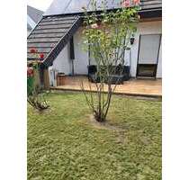 Wohnung zum Mieten in Breisach 1.100,00 € 100 m²