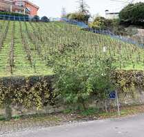 Grundstück zu verkaufen in Alf 65.300,00 € 1126 m²