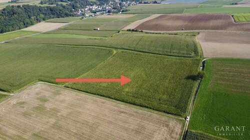 Foto - Grundstück in Mamming 263.340,00 € 21945 m²