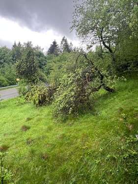 Foto - Grundstück zu verkaufen in Schönsee 24.900,00 € 649 m²