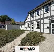Wohnung zum Mieten in Bergen 369,00 € 41 m²