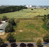 Grundstück in Nienhagen 829.000,00 € 8576 m²