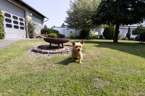 Foto - Haus zum Kaufen in Diepenau Lavelsloh 444.000,00 € 206 m²