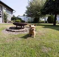 Haus zum Kaufen in Diepenau Lavelsloh 444.000,00 € 206 m² - Diepenau / Lavelsloh