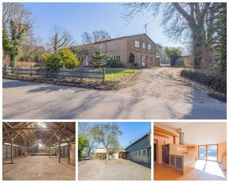 Foto - Haus zum Kaufen in Erfde 319.000,00 € 300 m²