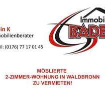 Wohnung zum Mieten in Waldbronn-Neurod 5.200,00 € 300 m²