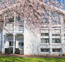 Haus zum Kaufen in Mühldorf am Inn 885.000,00 € 298 m²