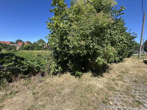 Foto - Grundstück zu verkaufen in Wiedemar 160.000,00 € 1000 m²