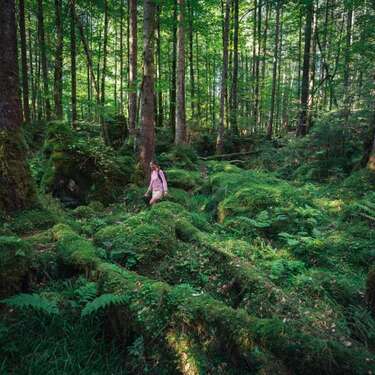 Foto - Haus zum Mieten in Stadtbergen 3.600,00 € 295 m²