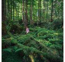 Haus zum Mieten in Stadtbergen 3.600,00 € 295 m²