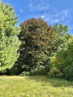 Foto - Grundstück zu verkaufen in München 1.190.000,00 € 625 m²