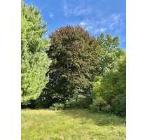 Grundstück zu verkaufen in München 1.190.000,00 € 625 m²