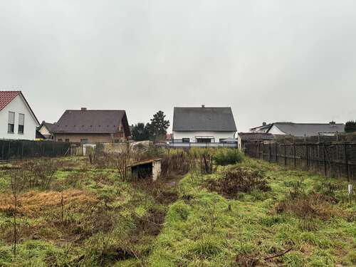 Foto - Haus zum Kaufen in Maxdorf 562.500,00 € 153 m²