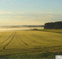 Grundstück zu verkaufen in Rheine 235.000,00 € 41315 m²