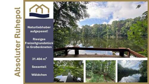 Foto - Grundstück zu verkaufen in Großenkneten 159.000,00 € 31404 m²