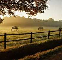 Grundstück zu verkaufen in Ibbenbüren 34.188,00 € 4884 m²
