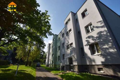 Foto - Wohnung zum Mieten in Chemnitz 270,00 € 46 m²