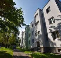 Wohnung zum Mieten in Chemnitz 270,00 € 46 m²