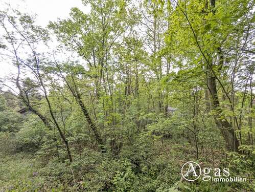 Foto - Grundstück zu verkaufen in Schwielowsee Caputh 580.000,00 € 1329 m²