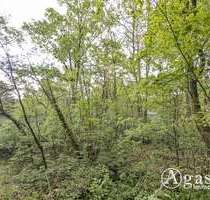 Grundstück zu verkaufen in Schwielowsee Caputh 580.000,00 € 1329 m² - Schwielowsee / Caputh