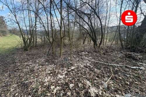 Foto - Grundstück zu verkaufen in Altdorf 250.000,00 € 990 m²