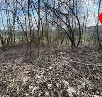 Grundstück zu verkaufen in Altdorf 250.000,00 € 990 m²