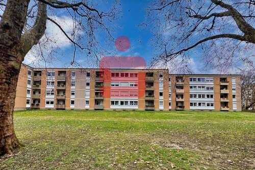 Foto - Wohnung zum Kaufen in Ludwigshafen 299.000,00 € 113.23 m²