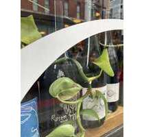 Gastronomie in Berlin 2.800,00 € 125 m²