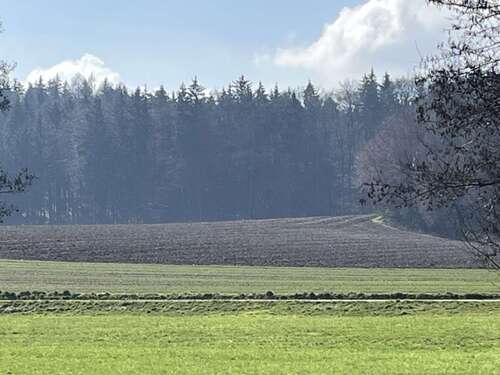 Foto - Grundstück in Todtenweis Bach 225.000,00 € 22540 m²