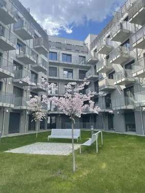 Foto - Wohnung zum Mieten in Magdeburg 345,94 € 24.71 m²