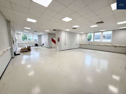 Foto - Halle in Renningen 1.900,00 € 272 m²
