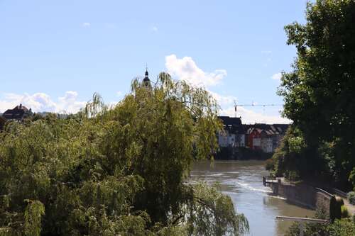 Foto - Wohnung zum Mieten in Laufenburg am Rhein 800,00 € 65 m²