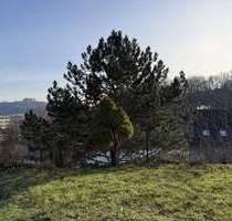 Haus zum Kaufen in Coburg 229.000,00 € 257 m²