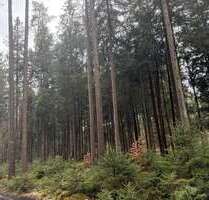 Spezialgewerbe in Seeon 239.000,00 € 49000 m²