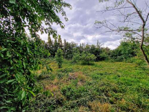 Foto - Grundstück zu verkaufen in Landsberg 129.900,00 € 2418 m²