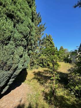 Foto - Grundstück zu verkaufen in Hamburg 399.000,00 € 837.74 m²