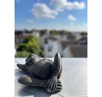 Wohnung zum Kaufen in Hofheim am Taunus 725.000,00 € 112.73 m²